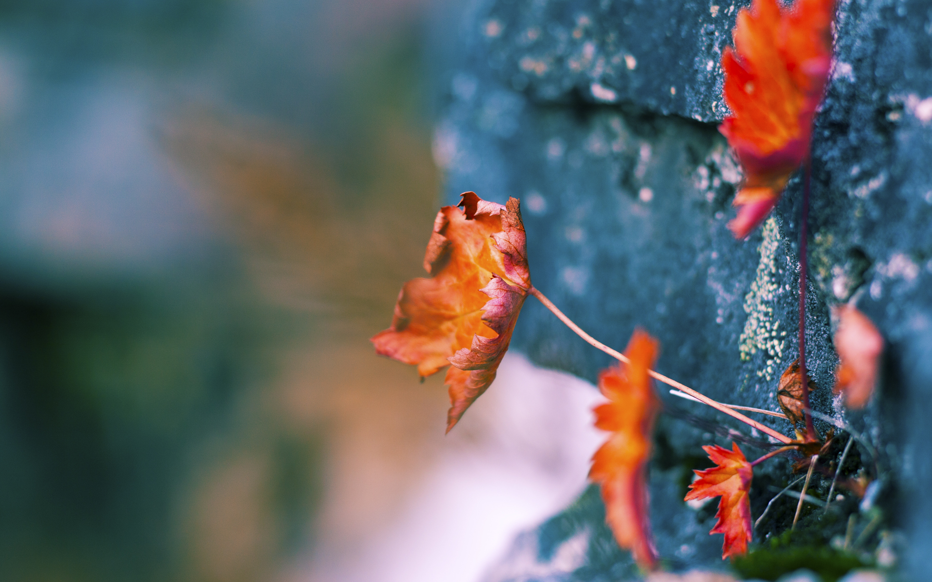 AYX官网-“足球培训课程多样化，适合不同年龄段参与者”，足球培训有哪些