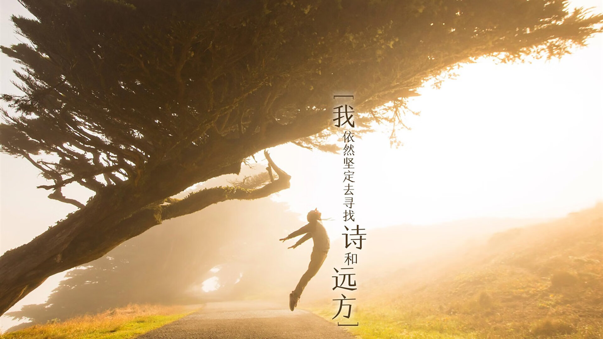 今年联盟助攻榜：最精彩的“神级传球”瞬间盘点！，lol助攻榜