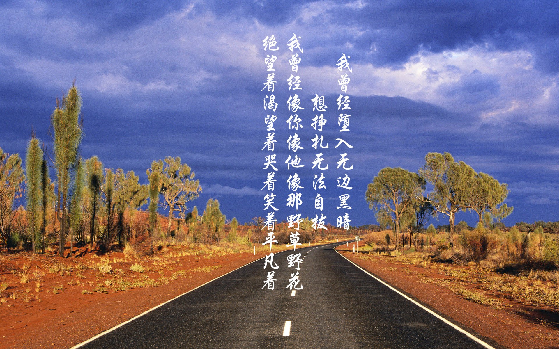 体育精神:篮球场上感人瞬间集锦,篮球场上经典语录