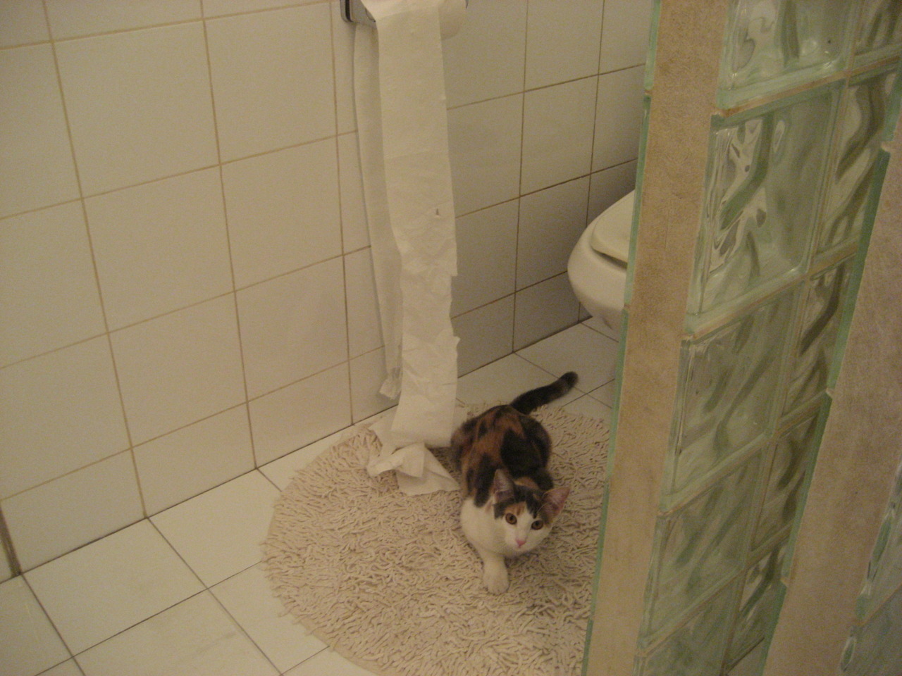 爱游戏体育（AYX）官方APP下载-伦敦大奖赛即将来临，谁能摘得桂冠？，伦敦大师赛