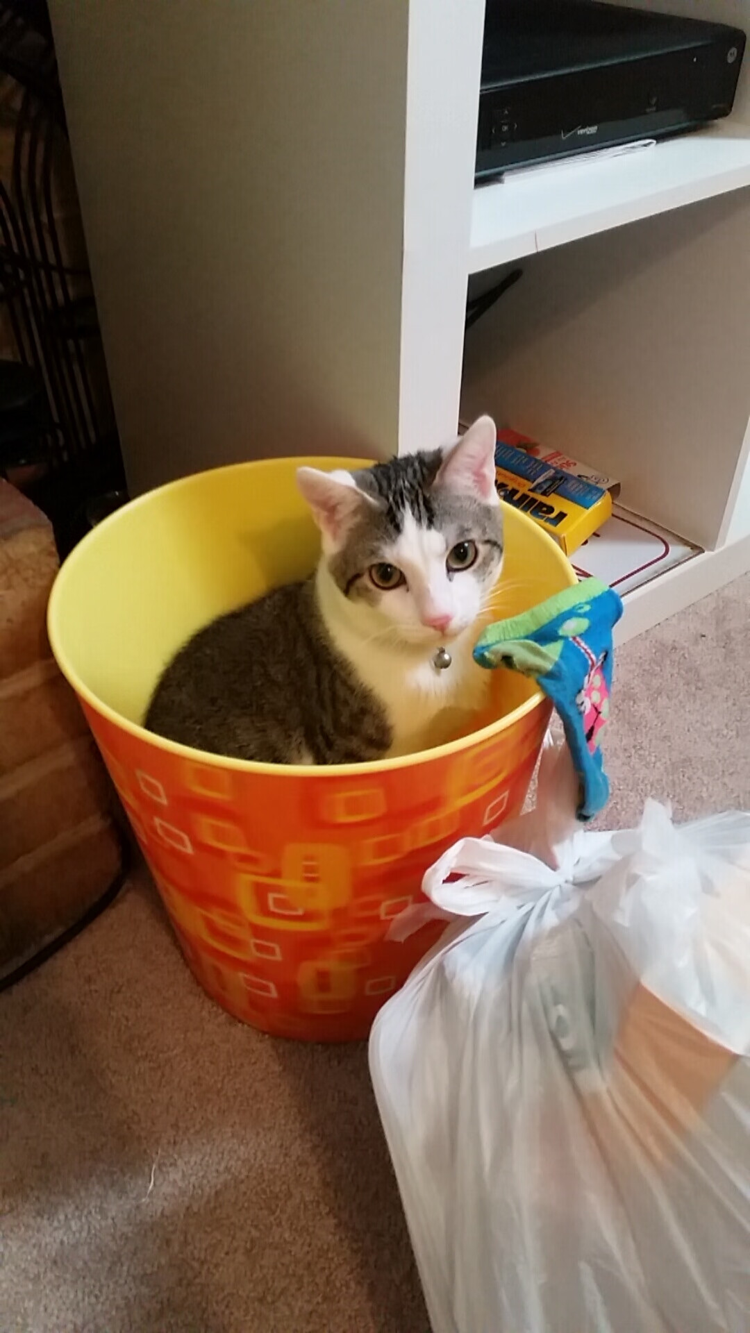 爱游戏体育app-凯尔特人在绝境中稳住阵脚，塔图姆连续得分帮助球队获胜！，凯尔特人塔图姆今日集锦