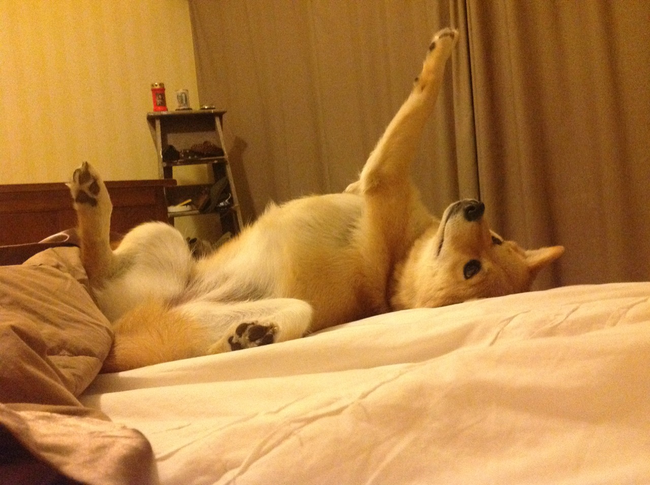 英超劲旅引援不慎,新援受伤令人忧心,英超4.6亿劲旅反击利物浦