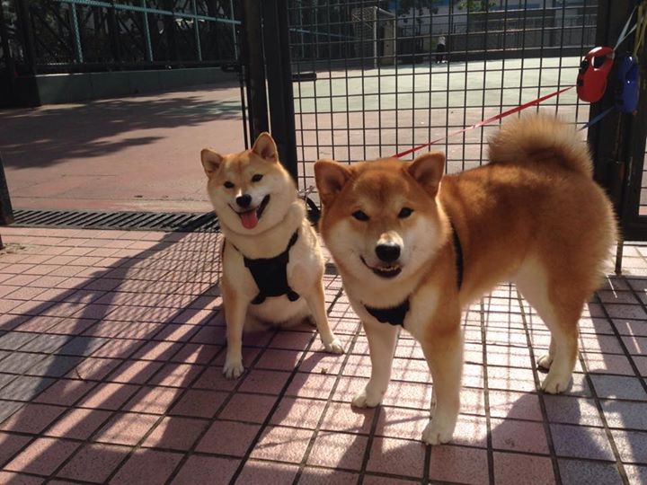 爱游戏平台-赛场上球队争分夺秒，决战胜负悬而未决，这场球赛的胜败关键是队员们的齐心协力