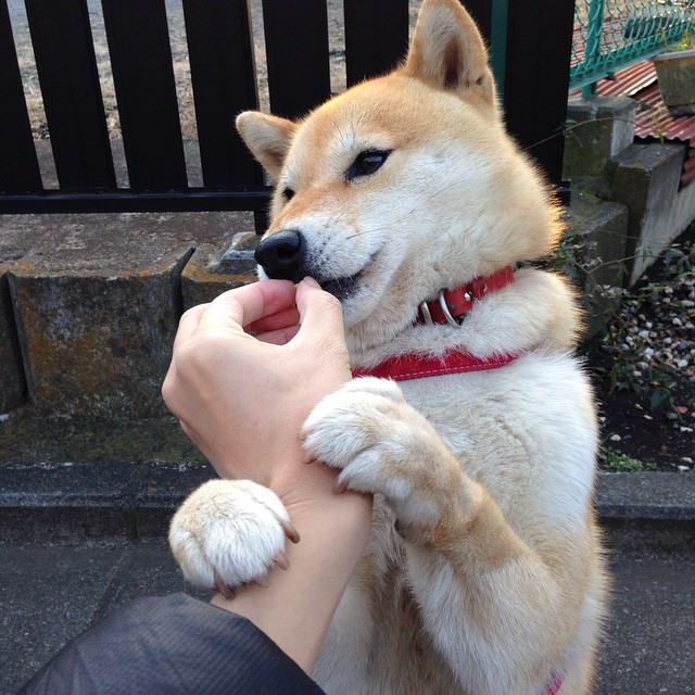 AYX GAMING-未来战场：哪些球队具备冲冠实力？，2021冲超成功的球队