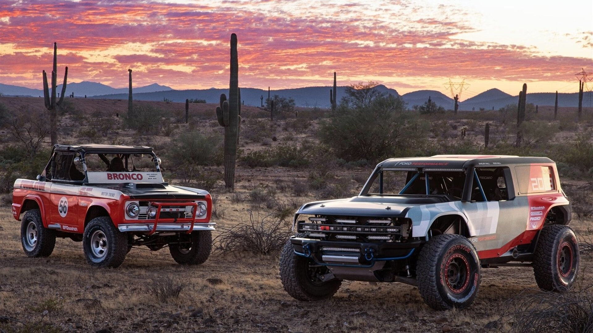 欧冠周边:球迷自制文化与创意应援,欧冠宣传