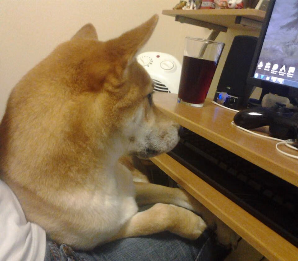 球迷热情:球迷夜场助威盛况记录,现场球迷