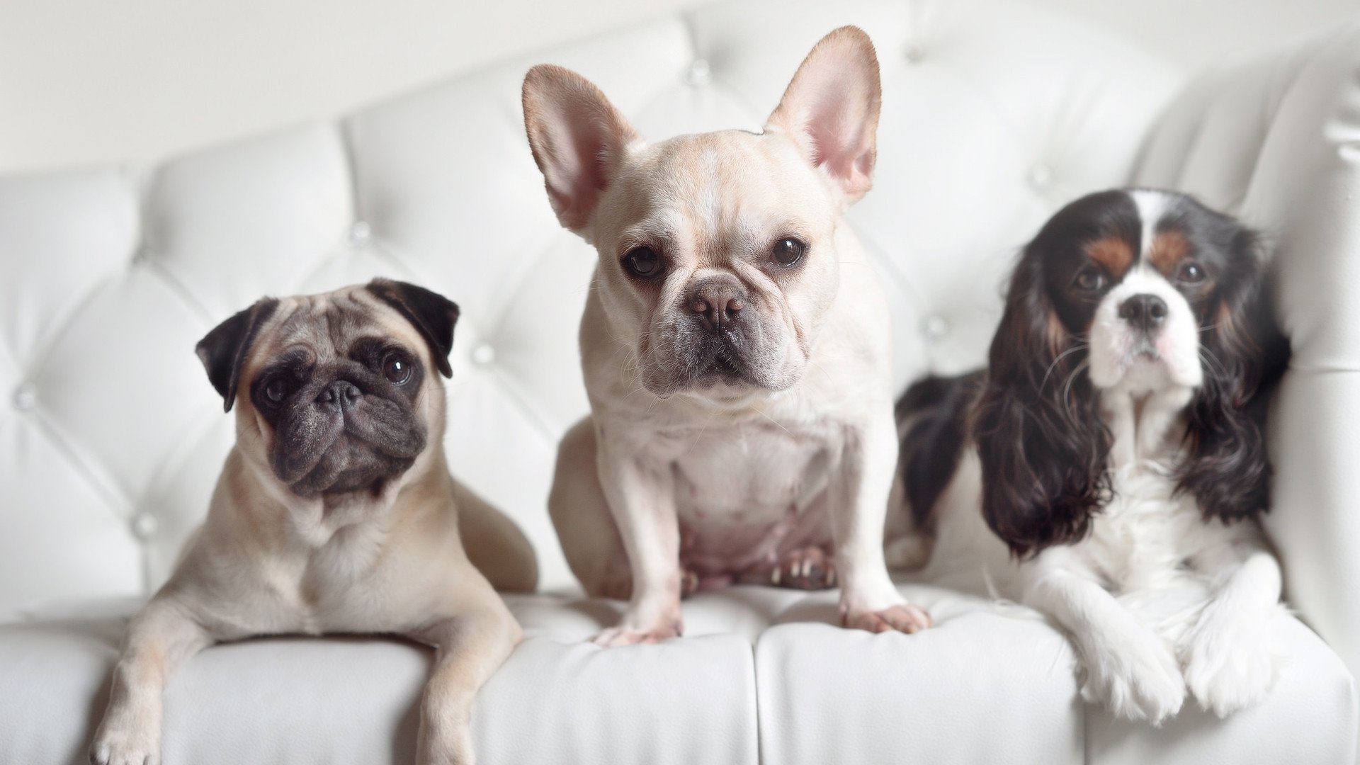 中国足球年度整体技战术演变路线整理,中国足球技术档案