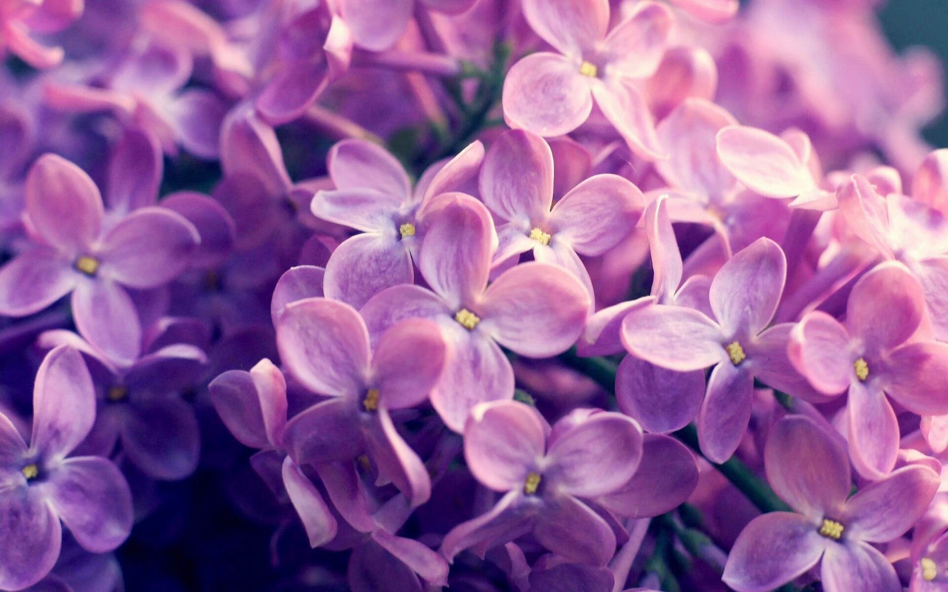 英超球员赛后肌肉恢复曲线与训练调整匹配度,英超球队一天训练多久