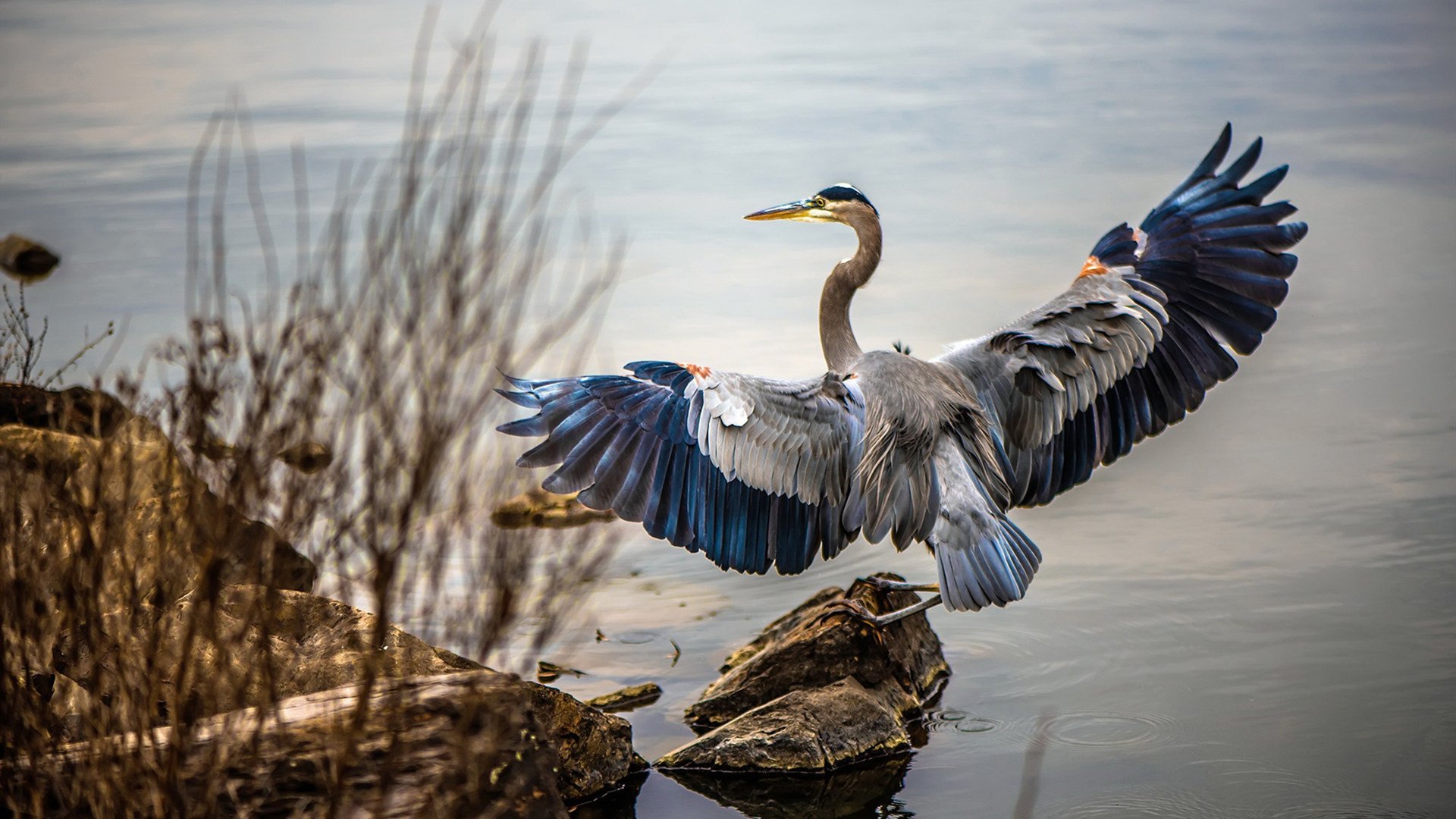 足球体能训练标准手册正式向社会发布,足球体能训练标准手册正式向社会发布了吗