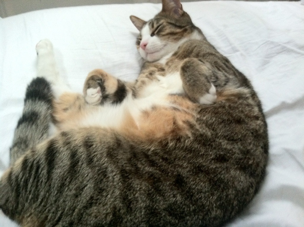 体育赛场亮点:女足比赛带来的精彩瞬间!,足球赛女足