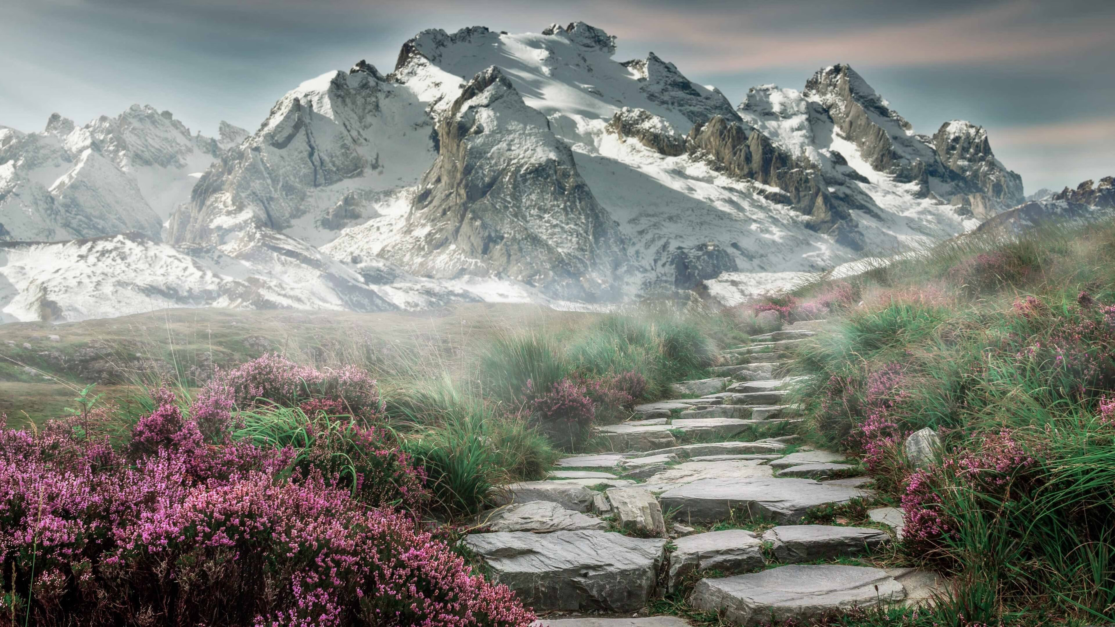 体育赛场亮点:女足比赛带来的精彩瞬间!,足球赛女足