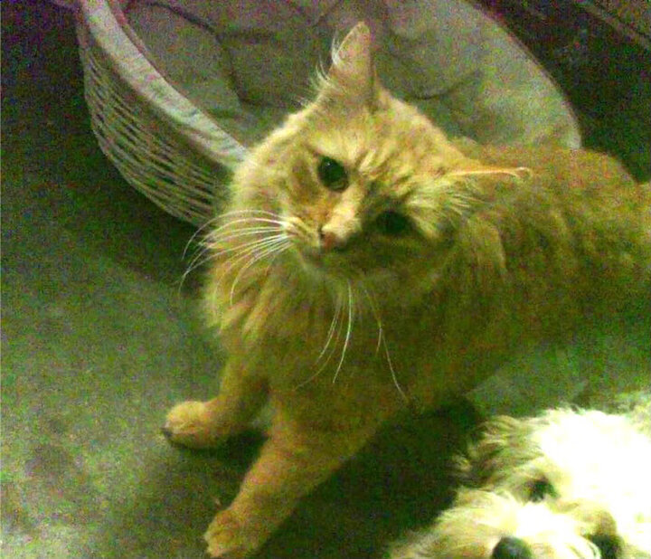 爱游戏体育（AYX）官方APP下载-中超联赛中国队战平 球迷期待更多胜利，中超联赛情况