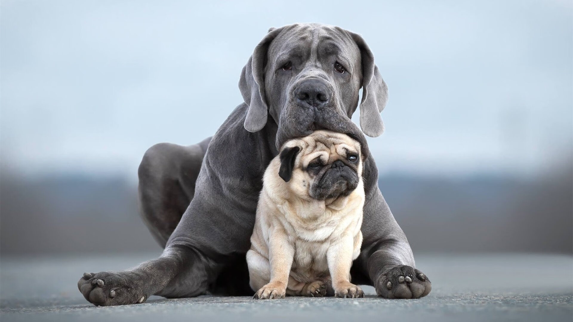 利物浦逆转胜利，成功晋级欧冠八强，利物浦欧冠冠军之路