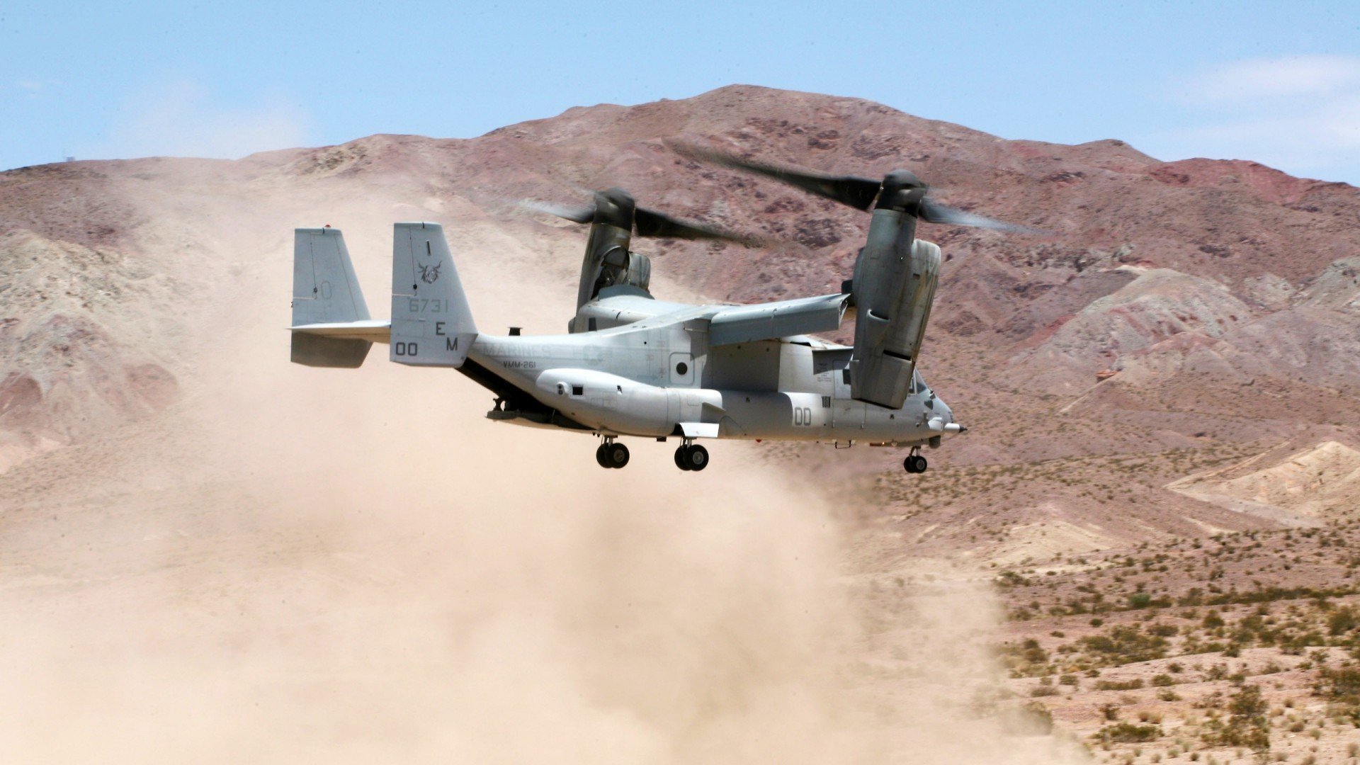 斯图加特球队获胜,士气高昂迎接下一场比赛,斯图加特队阵容