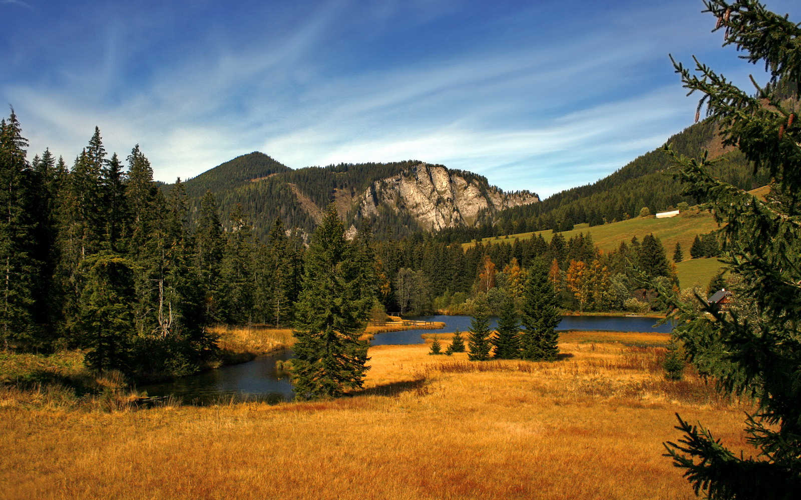 莱切斯特城中场索伦森精准助攻,助球队扩大领先,莱切斯特夺冠主力
