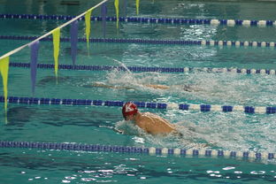 爱游戏平台-全国青少年游泳锦标赛青春风采尽展，全国青少年游泳比赛成绩