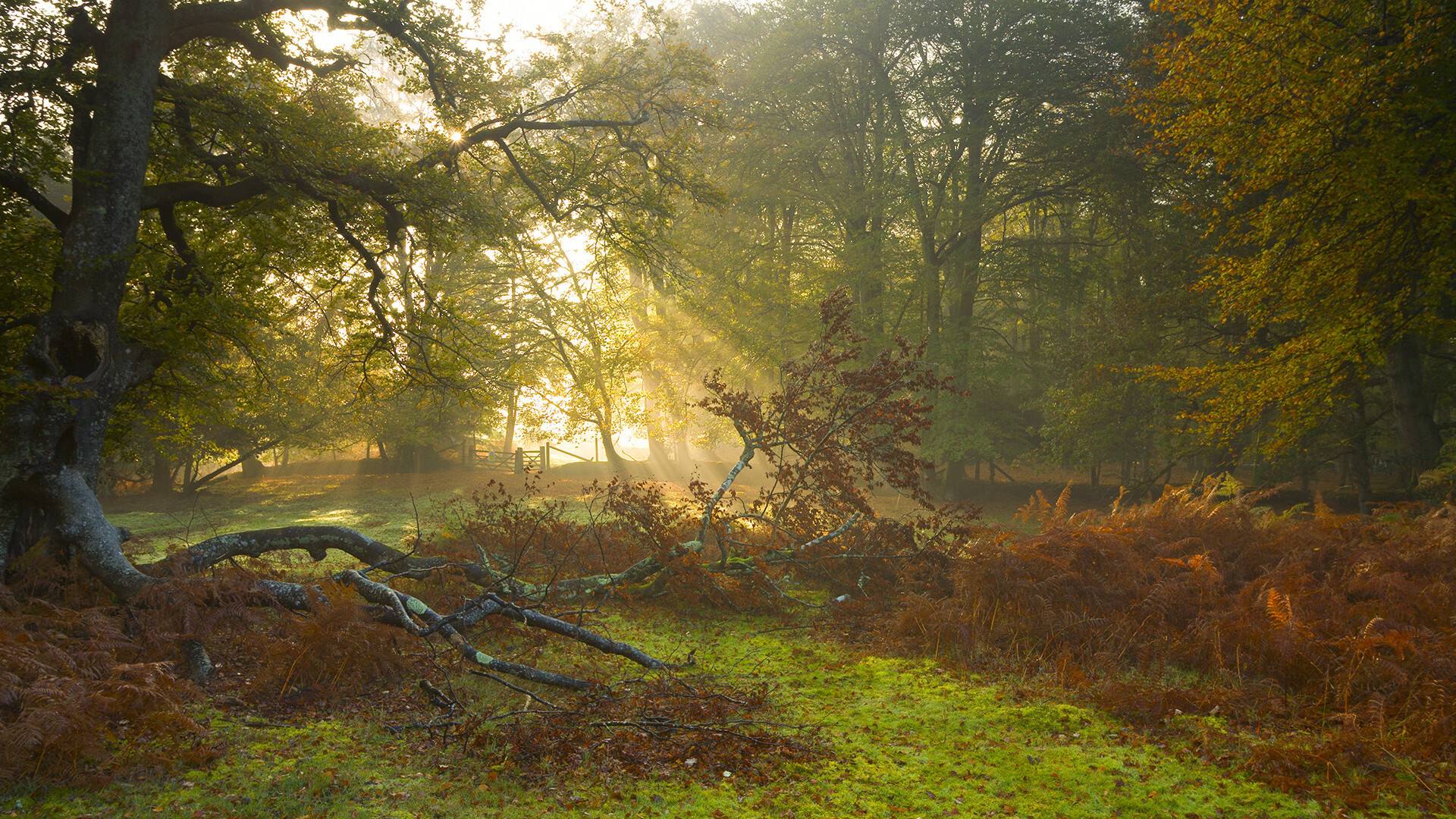 AYX体育官网-恩多比·恩乔：从远距离踢球到进攻调度，他的全能表现助南非取胜