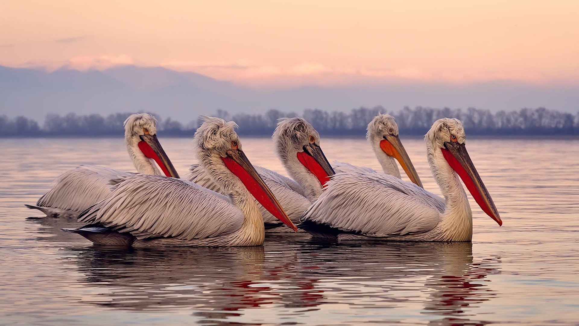 智能体育训练辅助工具研发与应用,智能体育训练辅助工具研发与应用论文