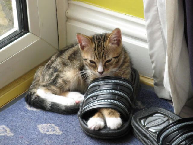 世界杯预选赛U23国足爆冷 球迷分析战术漏洞,国足2020世界杯预选赛出线前景